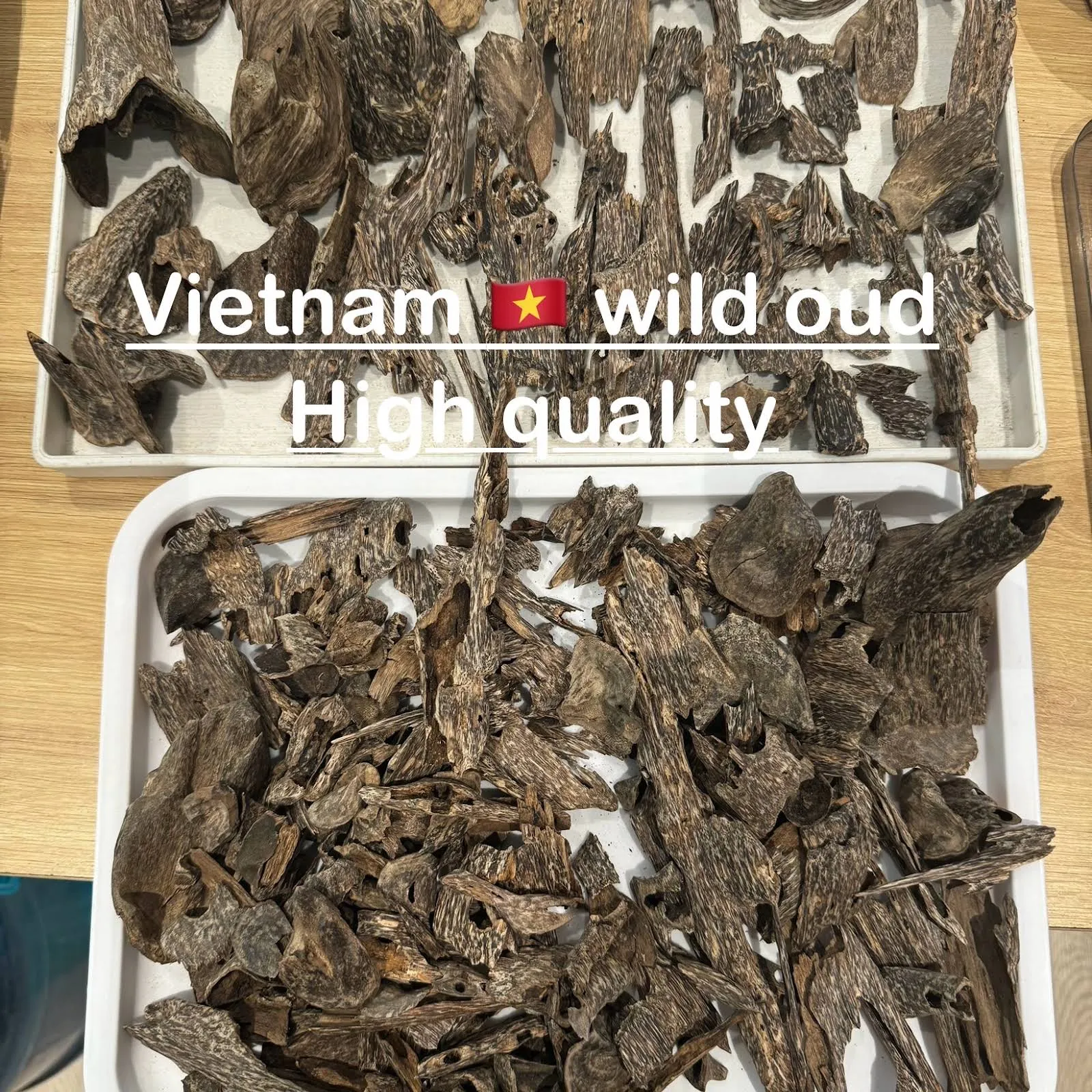 VIP Vietnamese Wild Agarwood – Premium Oud Chips Collection for Heating