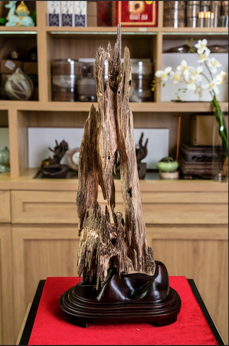 Natural Agarwood Home Decor – Peaceful Space &amp; Soft Aroma (56cm) | Vietnamese Oud
