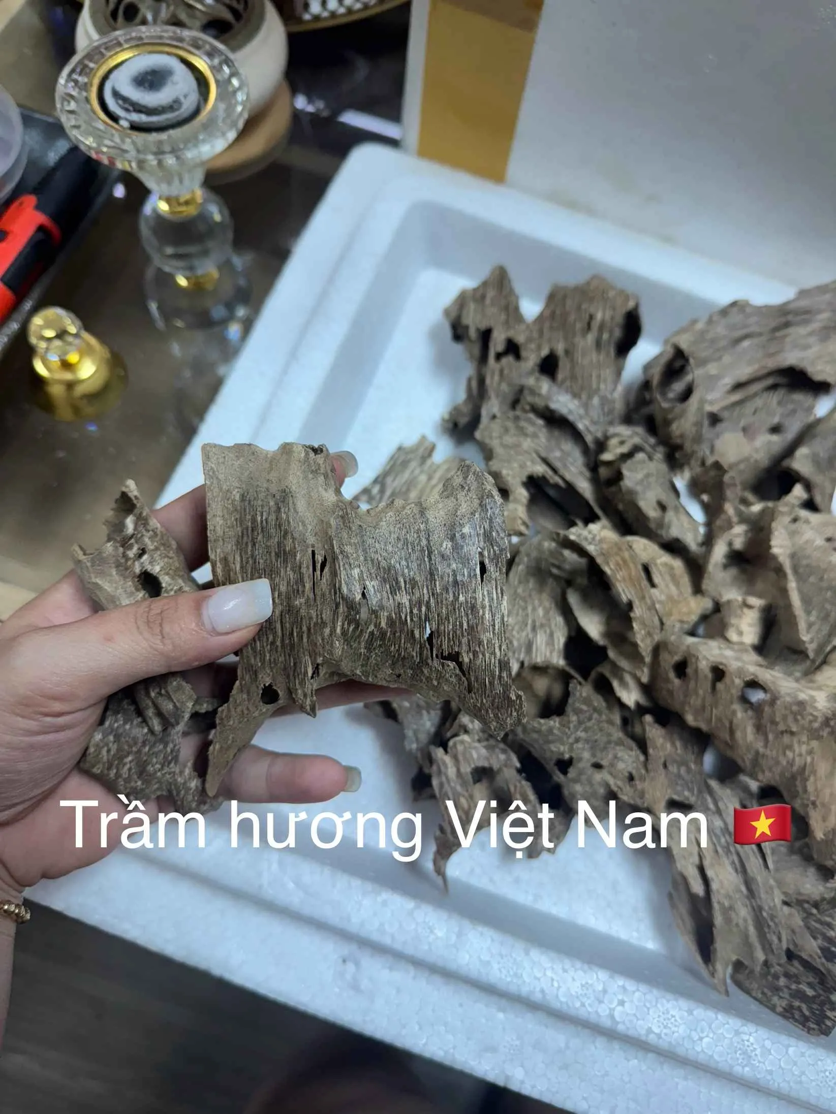 Drilled Agarwood Nest – Natural Vietnamese Agarwood Chips for Incense &amp; Relaxation (High Oil Content Oud)
