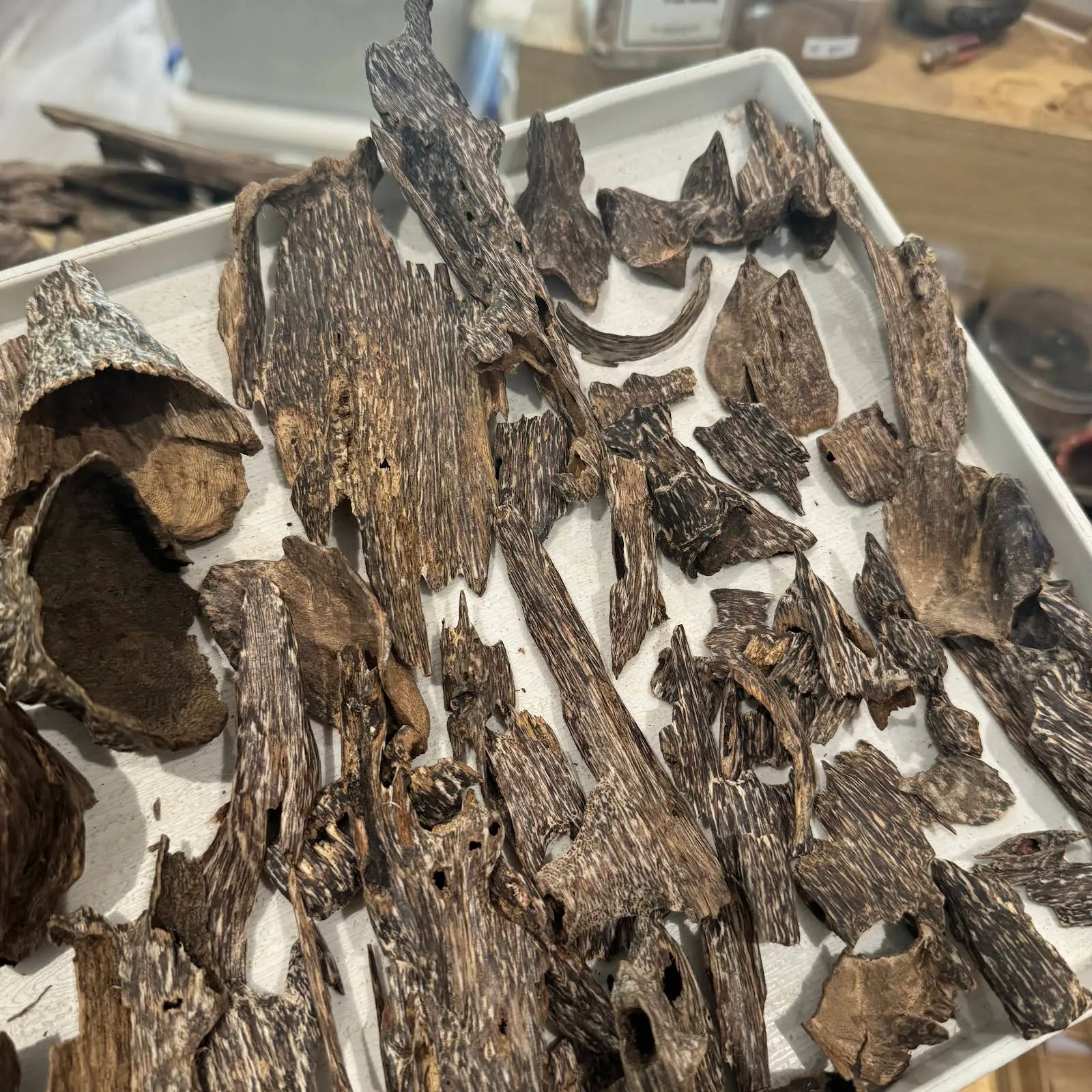 VIP Vietnamese Wild Agarwood – Premium Oud Chips Collection for Heating