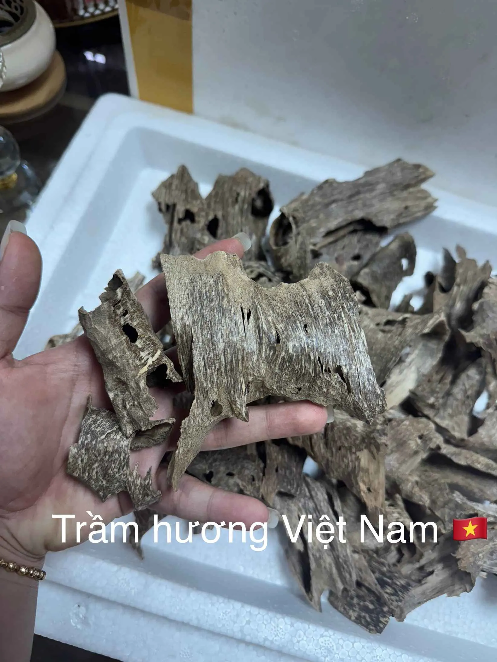 Drilled Agarwood Nest – Natural Vietnamese Agarwood Chips for Incense &amp; Relaxation (High Oil Content Oud)