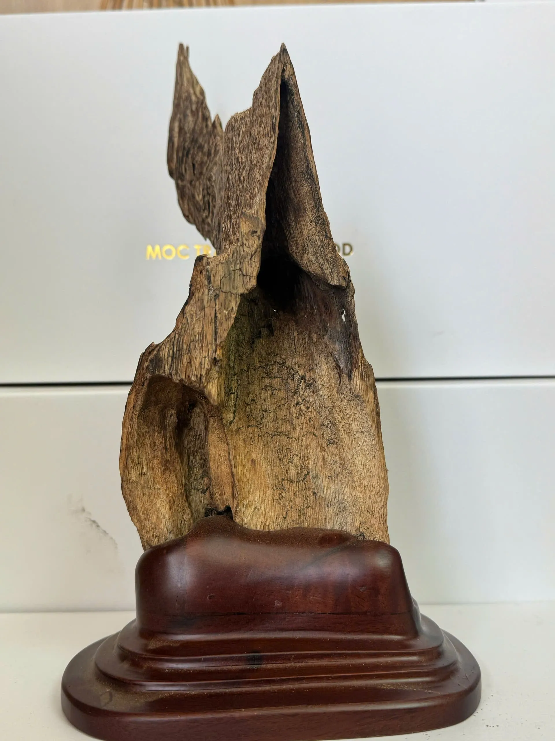 Natural Agarwood Sculpture – Premium Feng Shui Decor (26cm) | Vietnamese Oud Display