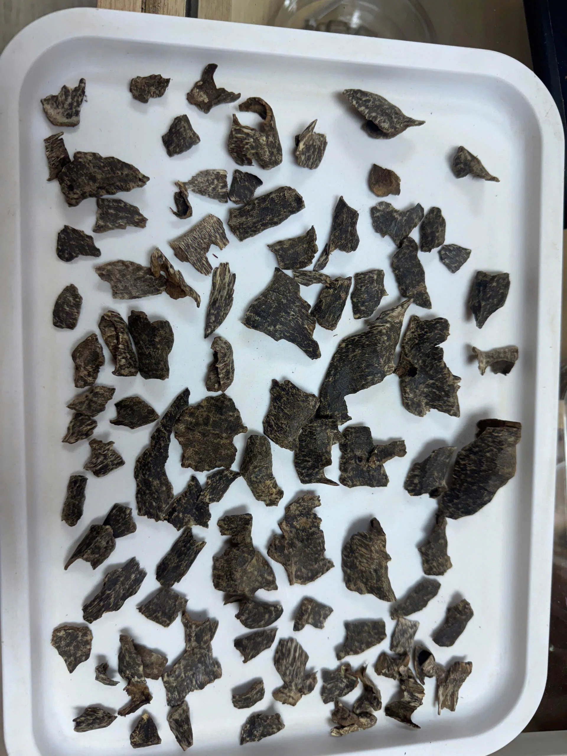 VIP Wild Agarwood Incense – Premium Nha Trang Vietnam Agarwood Collection (Natural Forest Oud)