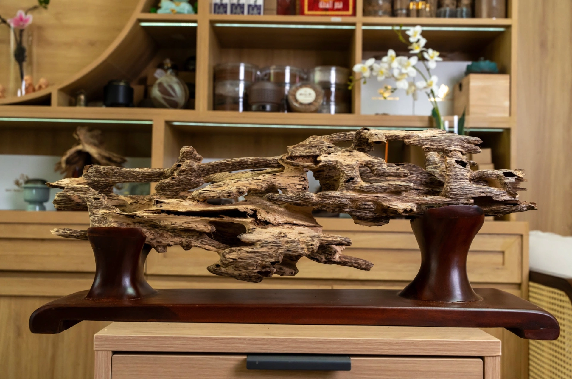 Natural Agarwood Mini Desk Decor – Wild Forest Style | Nha Trang, Vietnam Oud