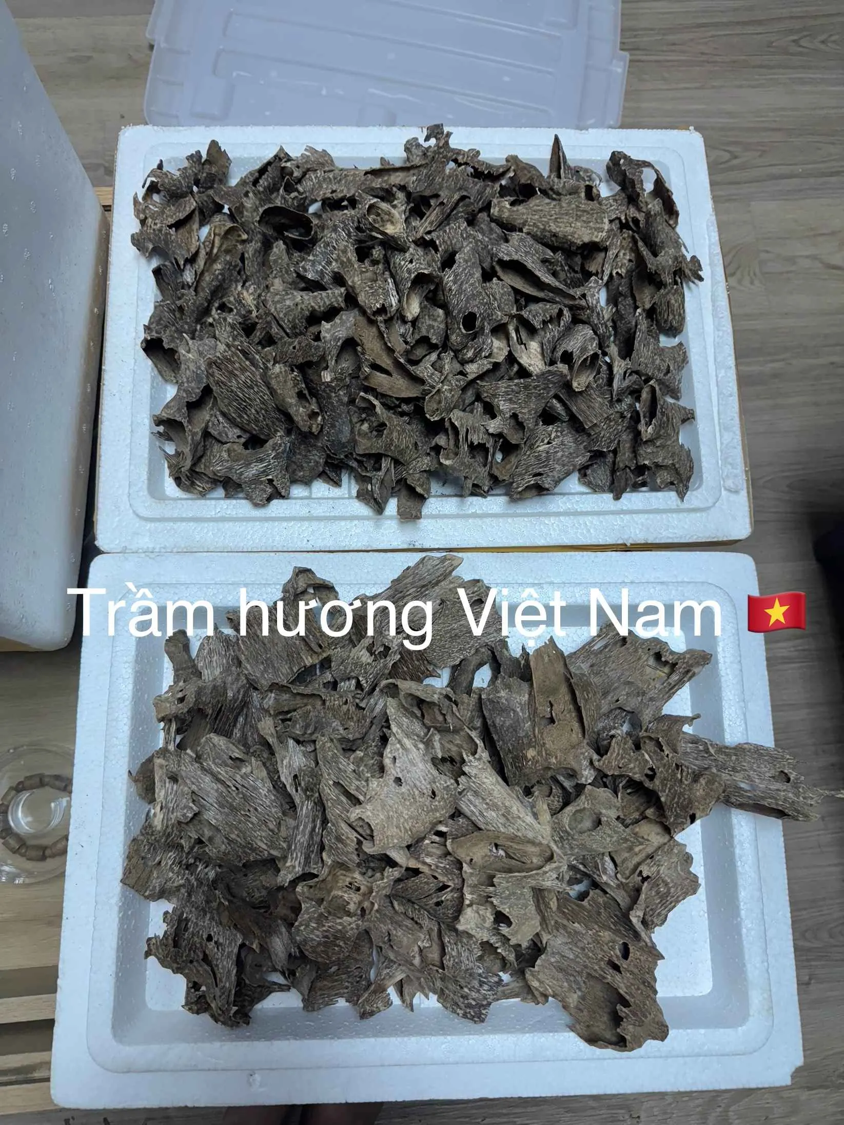 Drilled Agarwood Nest – Natural Vietnamese Agarwood Chips for Incense &amp; Relaxation (High Oil Content Oud)