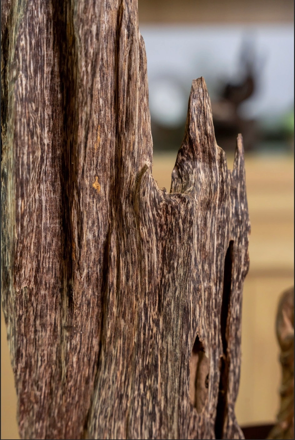 “Tinh Tam Son” Natural Agarwood Sculpture – Premium Feng Shui Display | Moc Tram Agarwood, Nha Trang
