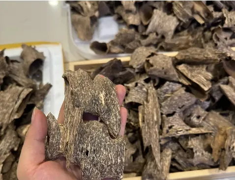 Premium Drilled Agarwood Chips – High Oil Vietnamese Natural Agarwood (Top-Grade Oud)