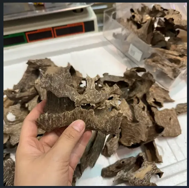 Premium Drilled Agarwood Chips – High Oil Vietnamese Natural Agarwood (Top-Grade Oud)