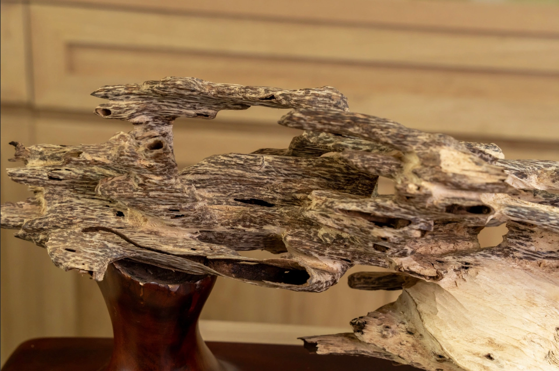 Natural Agarwood Mini Desk Decor – Wild Forest Style | Nha Trang, Vietnam Oud