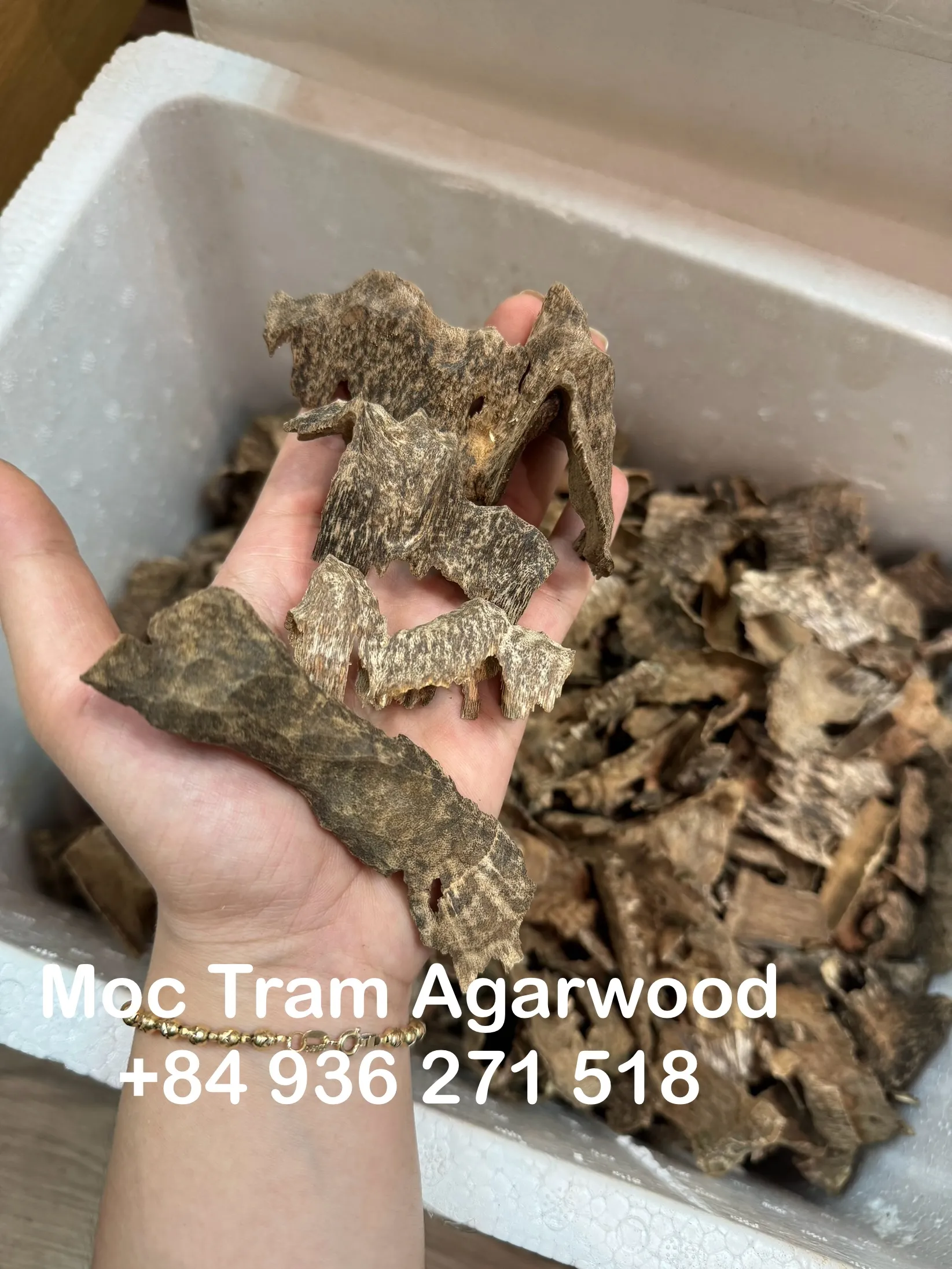 Premium Drilled Agarwood Chips – Vietnamese Cultivated Oud for Burning &amp; Enjoyment