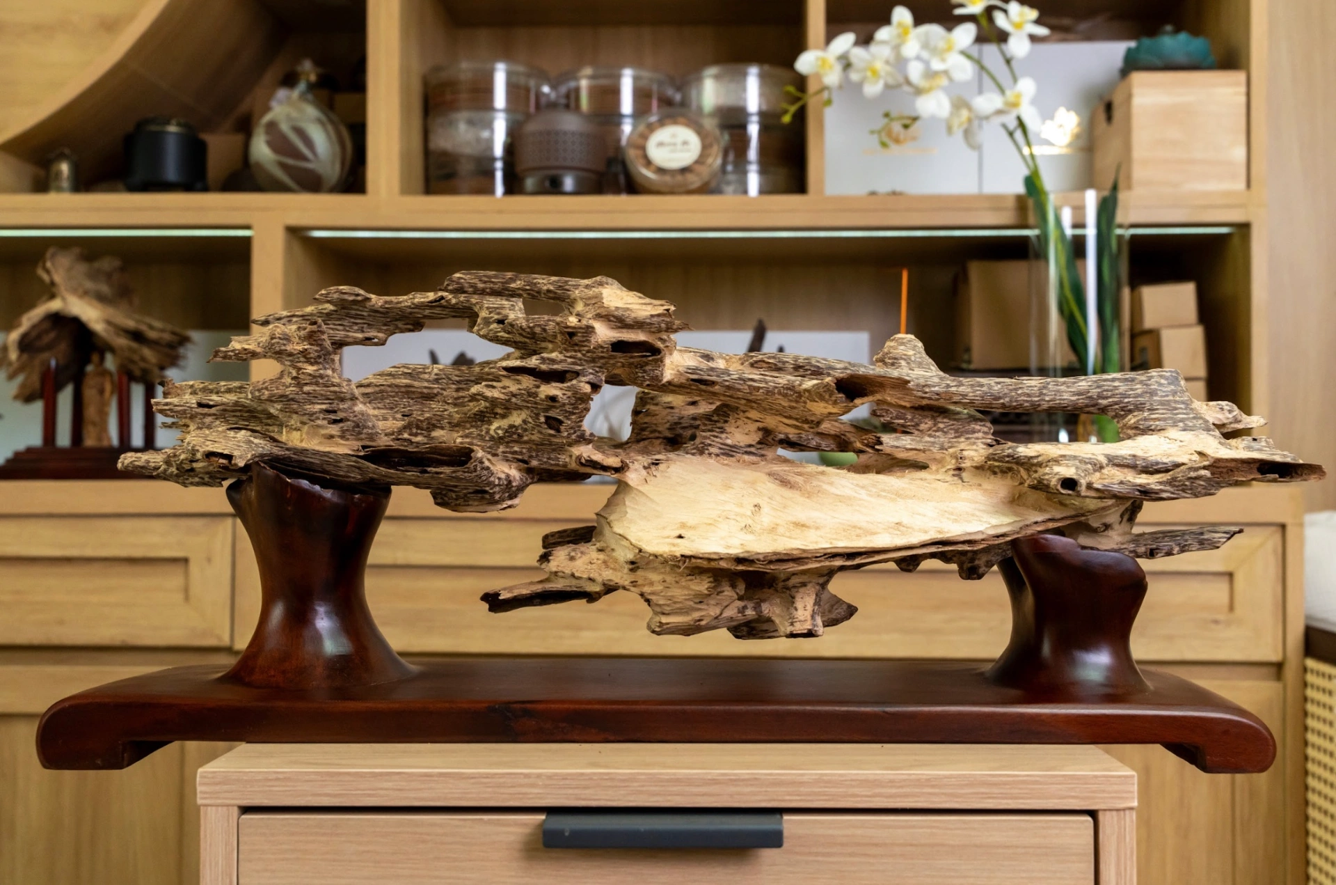 Natural Agarwood Mini Desk Decor – Wild Forest Style | Nha Trang, Vietnam Oud