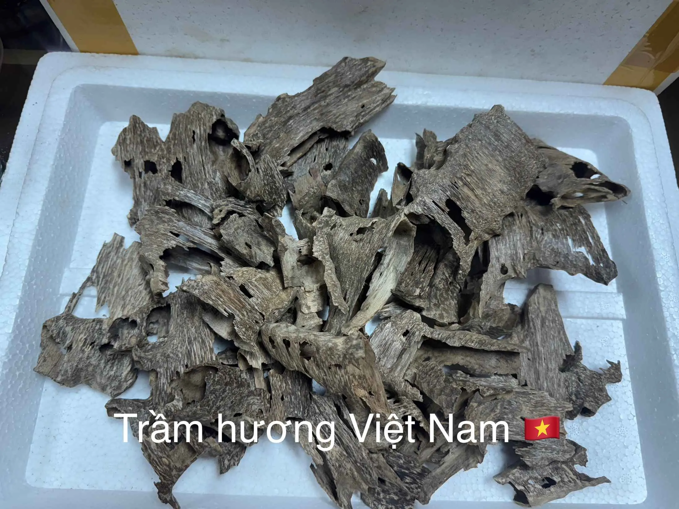Drilled Agarwood Nest – Natural Vietnamese Agarwood Chips for Incense &amp; Relaxation (High Oil Content Oud)