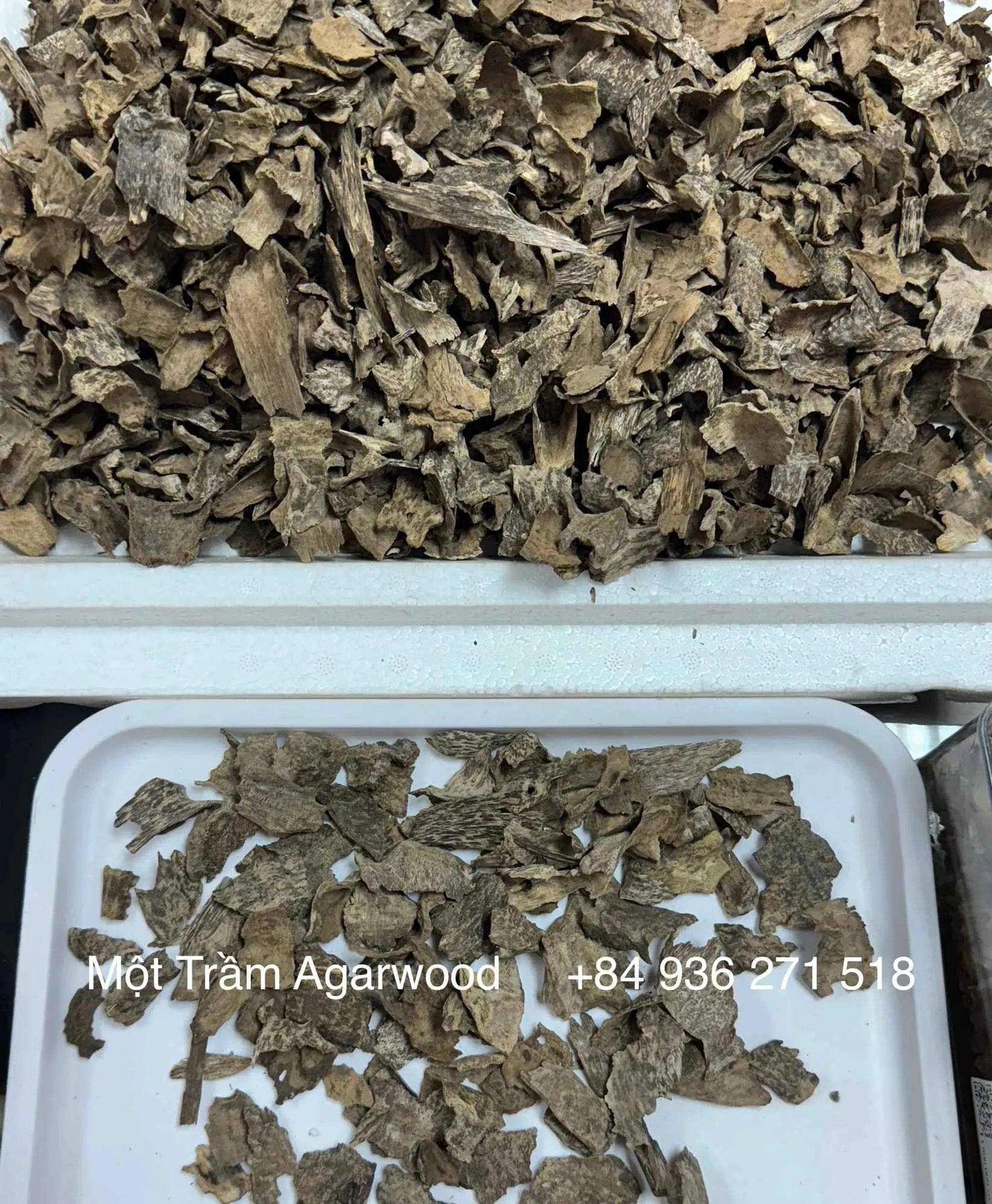 Premium Natural Agarwood – Drilled Oud Chips with High Resin&nbsp;