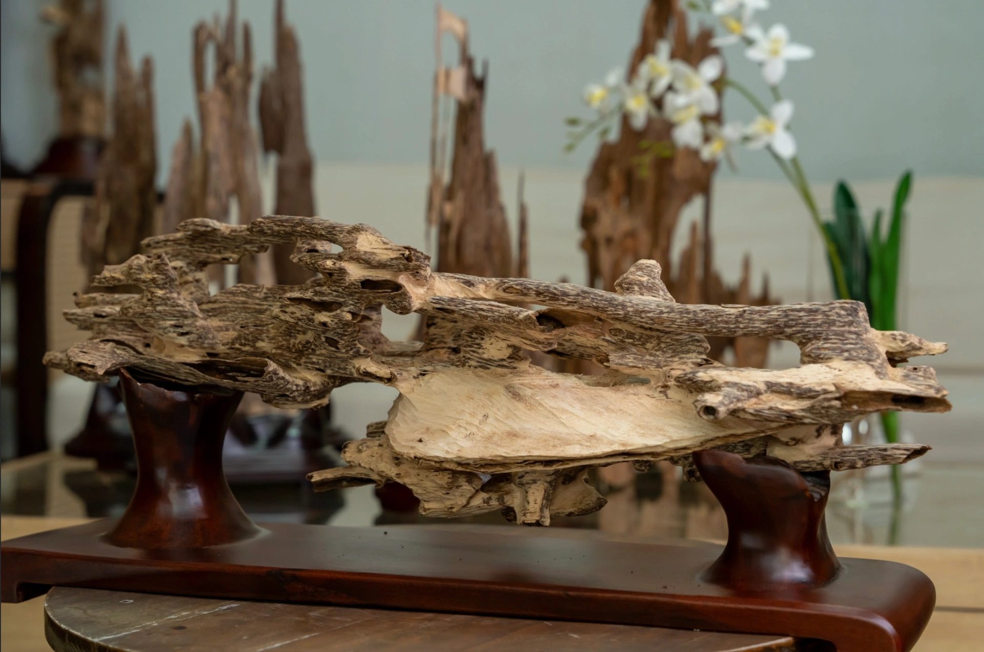Natural Agarwood Mini Desk Decor – Wild Forest Style | Nha Trang, Vietnam Oud