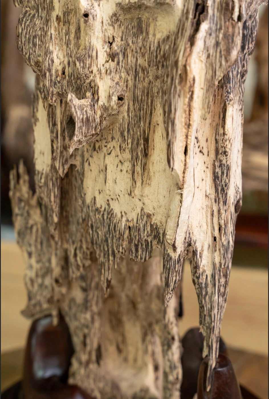 Natural Solid Agarwood Sculpture – Premium Feng Shui Masterpiece (87cm) | Vietnamese Oud