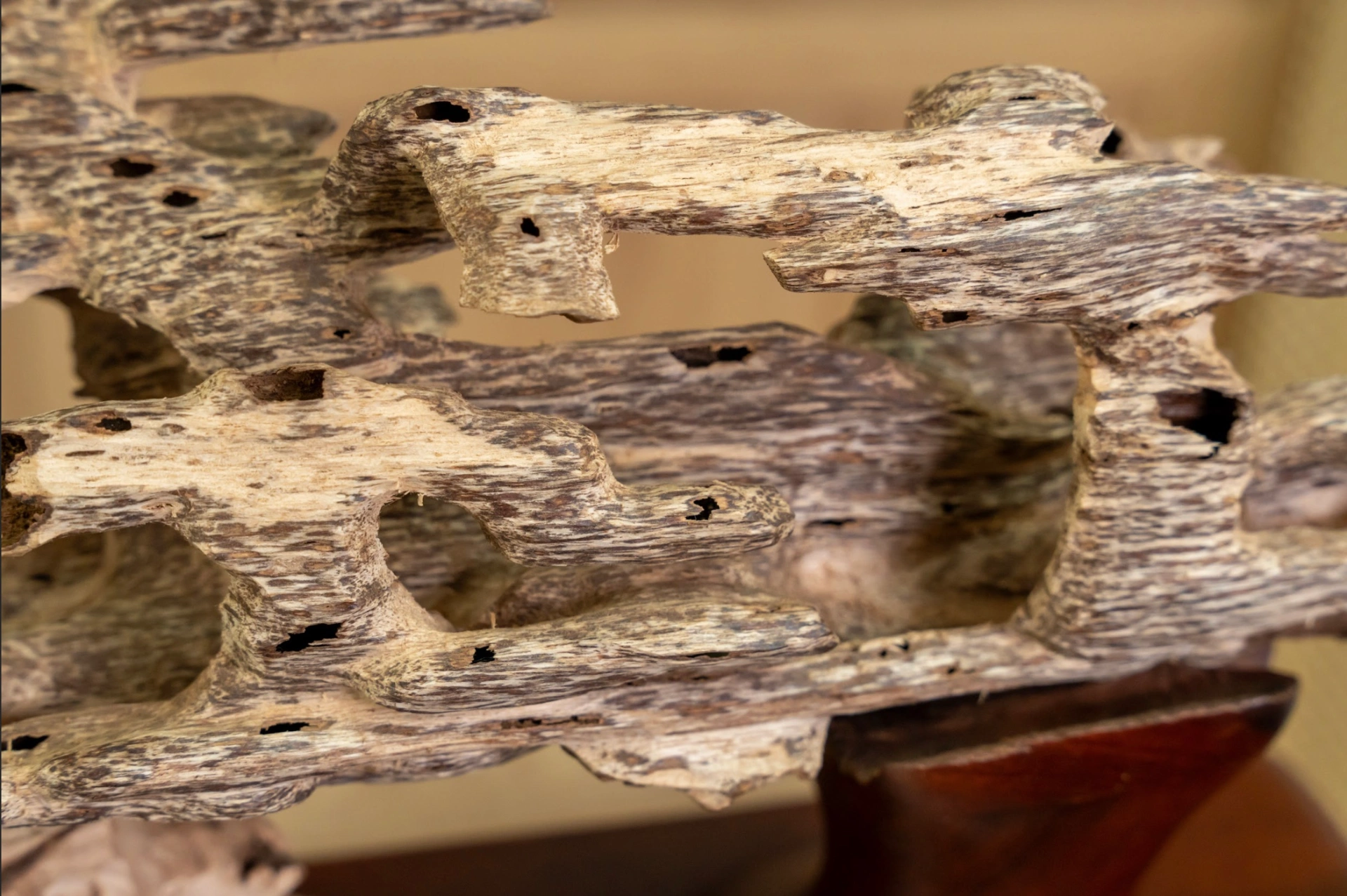 Natural Agarwood Mini Desk Decor – Wild Forest Style | Nha Trang, Vietnam Oud